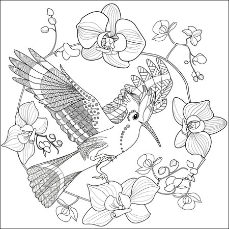 Coloring book for adults and older children. Coloring page with birds and orchids.のイラスト素材
