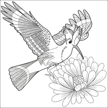 Coloring book for adults and older children. Coloring page with bird and flowers. Black and white vector illustration.のイラスト素材