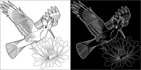 Coloring book for adults and older children. Coloring page with hummingbird and flowers. Black and white vector illustration.のイラスト素材