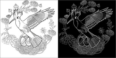 Coloring book for adults and older children. Coloring page with a picture of a stork in the nest.のイラスト素材