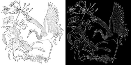Stork and flowers. Black and white illustration for coloring book.のイラスト素材