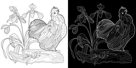 Coloring book for adults and older children. Coloring page with rooster and orchids.のイラスト素材