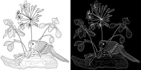 Coloring book for adults and older children. Coloring page with parrot and flowers. Black and white vector illustration.のイラスト素材