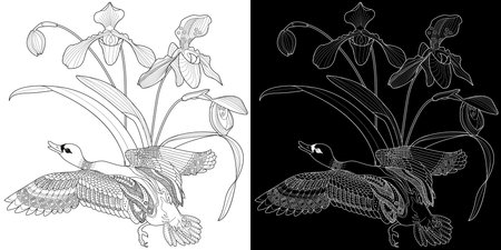 Coloring book for adults and older children. Coloring page with orchids and goose. Black and white vector illustration.のイラスト素材