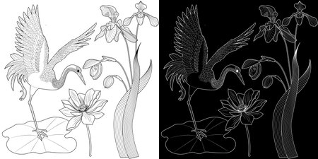 Coloring book for adults and older children. Coloring page with flowers and birds. Black and white vector illustration.のイラスト素材