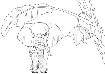 Elephant and tropical leaves. Coloring book antistress for children and adults.のイラスト素材
