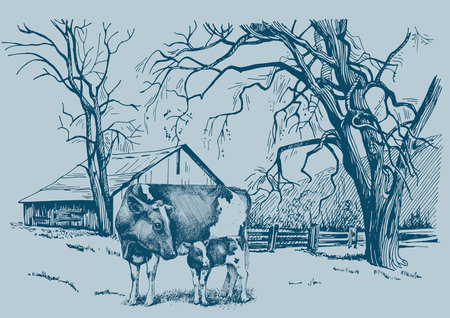 Calf and cow in the field. Sketch. Vector illustration.のイラスト素材