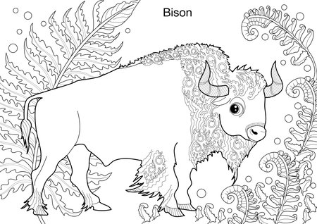 Coloring book for children: Bison (Bison bonasus)のイラスト素材