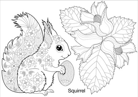 Coloring book for adults and older children. Black and white image with a squirrel and flowers.のイラスト素材
