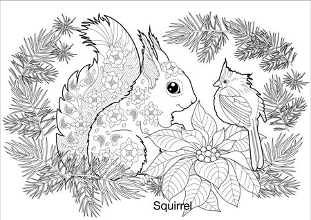 Coloring book for adult and older children: squirrel, bird and poinsettiaのイラスト素材