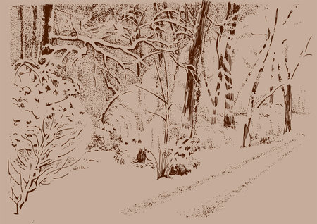 Winter landscape with trees and road. Vector illustration. EPS 10.のイラスト素材