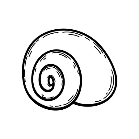 Seashell on white background. Shell hand sketch. Vector isolated illustration on a nautical theme.のイラスト素材