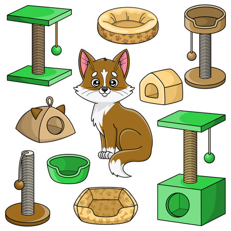 Set with kitten and scratching posts, cat beds, cat houses. Goods and accessories for pet shop. Colorful vector isolated illustrations in cartoon style.のイラスト素材