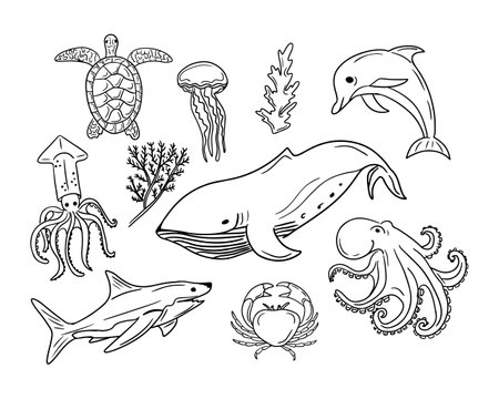 Set of outline doodle sea animals and creatures. Vector isolated black sketches on white background. Unique hand drawn design. Perfect for coloring pages, tatoo, wrapping paper, pattern, backgroundのイラスト素材