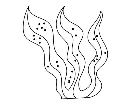 seaweed with a black outline. The vector illustration is hand-drawn. Algae icon for coloring, tattoo sketch, sticker. Vector illustrationのイラスト素材