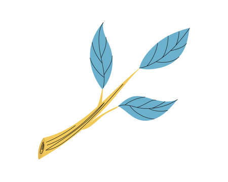 A branch of a tree with green leaves drawn by hand. Branch icon for books, postcards, stickers. Vector illustrationのイラスト素材