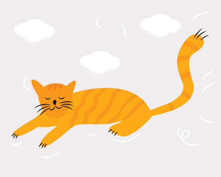 A cute cat is lying, a house cat. Red cat on a solid backgroundのイラスト素材