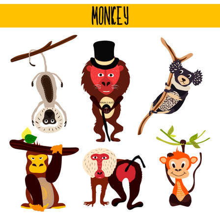 Cartoon Set of Cute Animals monkeys living in different parts of the world forests and tropical jungle .Macaque, gorilla, Yukari, vervet monkey, baboon, indri, chimpanzees . Vector illustrationのイラスト素材