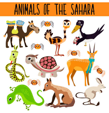Set of Cute cartoon Animals and birds in hot deserts isolated on white background. Camel, turtle, Jackal, lizard, snake, ostrich, spider. Vector illustrationのイラスト素材