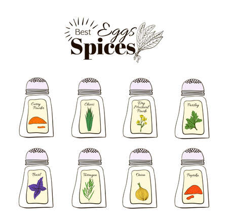Best seasoning for Eggs. A collection of stand-alone web design elements on a white backgroundのイラスト素材