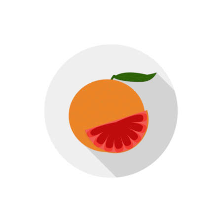 Isolated flat icon of vegetarian food fruits on white background. Ripe orange citrus grapefruit from the tropics.のイラスト素材