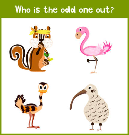 Children colorful educational cartoon game puzzle page for children's books and magazines on the theme get extra animal lovely birds among tropical forests. Vector illustrationのイラスト素材