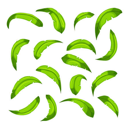 Cartoon elements the leaves of palm trees on a white background for creation of forestry tracks funny cartoon for filling your scenes or game interface backgrounds. Vectorのイラスト素材