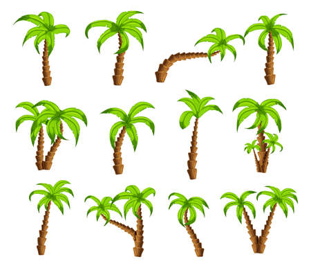 Cartoon green palm trees on a white background. Set of isolated funny cartoon tropical trees patterns icons, for filling your sky scenes or the game interface backgroundsのイラスト素材