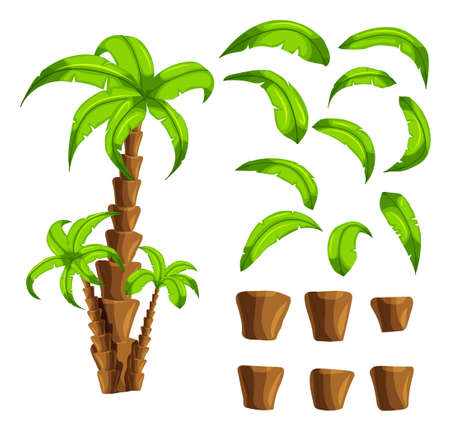 Cartoon elements the palm trees on a white background. Set of isolated objects of a tropical tree trunk and green leaves set the forest songs funny cartoon for filling game interface background.Vectorのイラスト素材