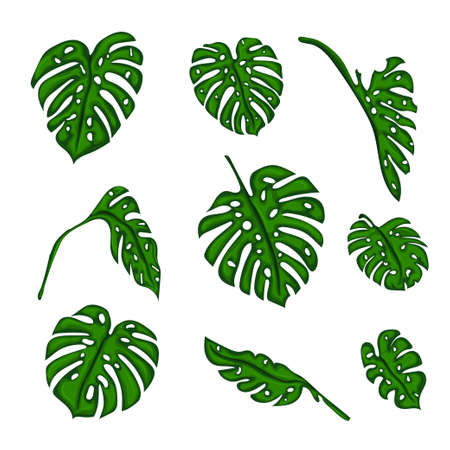 A set of Botanical tropical fern leaves to create bushes and trees in computer graphics. The elements of the game. Vector illustrationのイラスト素材