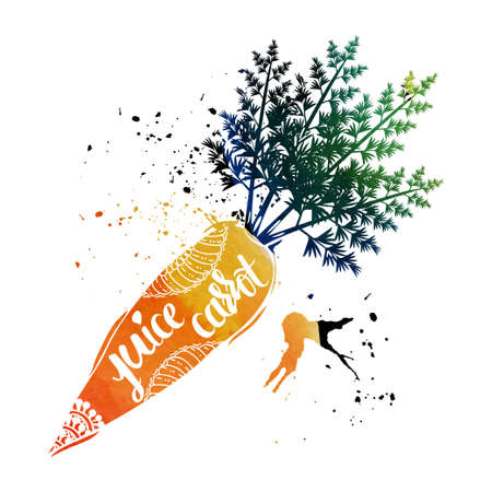 Vegan diet food. Cleansing of the body. Carrot juice.のイラスト素材