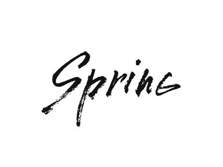 Spring. Handwritten lettering. Modern Calligraphy. Vectorのイラスト素材