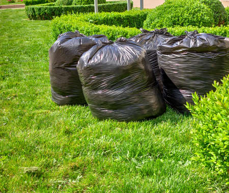 fresh grass clippings in bags on green grass . garbage bag on lawnの写真素材