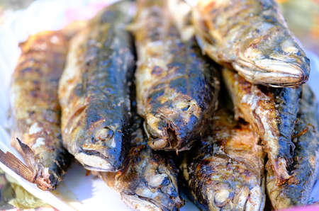grilled spicy mackerel fish on a dish. Roasted fish. grilled fish