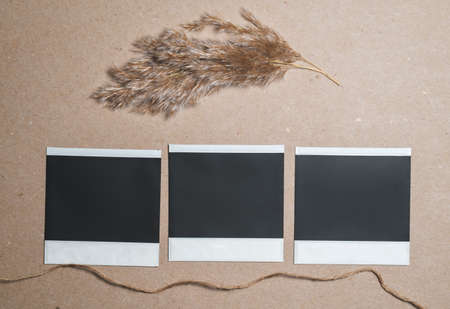 Vintage Photo Frames with reed and rope on brown wall. Perfect design elements for scrapbooks,...