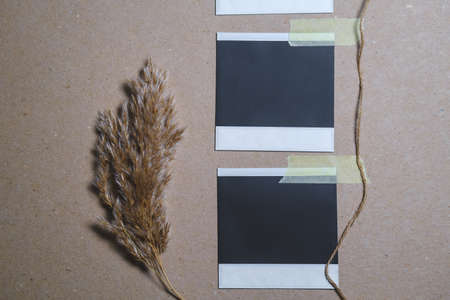 Blank photo frames with decorative elements on brown background.の写真素材