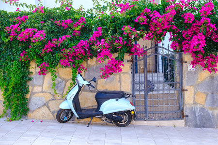 Old European street. The walls are covered with ivy, flowers, a white scooter parked. View of traditional street, house and bougainvillea flowers in Bodrum city of Turkey.の写真素材