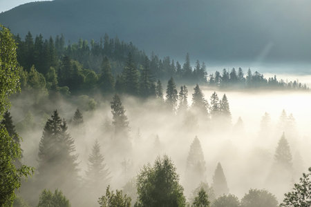 misty morning in the mountains, view from drone over the morning over the mountains hills and...