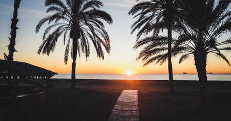 Serene beach sunset with wooden pathway, palm trees, and distant ships. Perfect maritime evening imbued with tranquility and warmthの写真素材