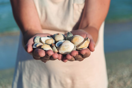 Hands holding sea shells. seashells in hands.の写真素材