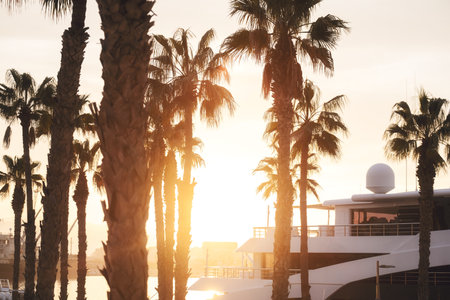 Golden sunset over marina silhouette with luxury yacht and towering palm trees, capturing the serene ambience of a coastal getawayの写真素材