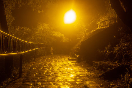 pathway at night with trees on either side. There is a street lamp emitting a bright, warm yellow light that is reflected off the wet cobblestones, rained recently or there is moisture in the airの写真素材