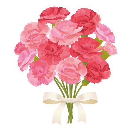 Carnation flowers bouquetのイラスト素材
