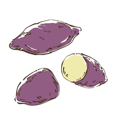 Vector illustration of sweet potato. Fresh vegetables.のイラスト素材