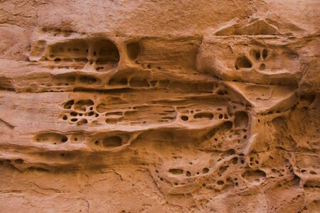 Spongy texture on rocks in Arches National Park, Utah, USAの写真素材