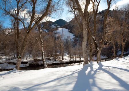 Winter sense with lots of snow on a sunny day in the high mountains of Utahの写真素材