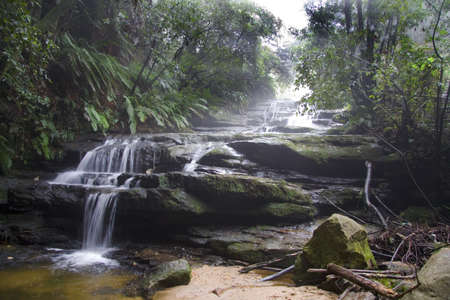 Stream surrounded in mist in the Blue Mountains, New South Wales, Australia near Sydneyの写真素材