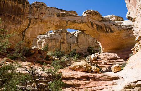 Hickman Bridge of Capitol Reef National Park in the Southern Utah desertの写真素材