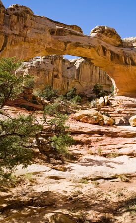 Hickman Bridge of Capitol Reef National Park in the Southern Utah desertの写真素材