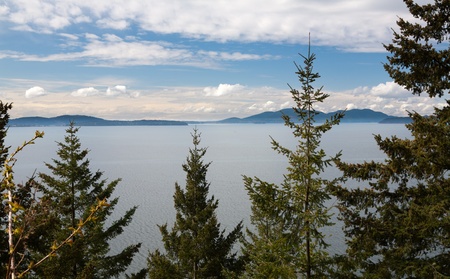 Looking through the trees into Puget Sound with mountains in the background
